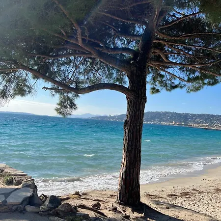 Le Jardin Secret By Golden Riviera Terrasses & Acces *