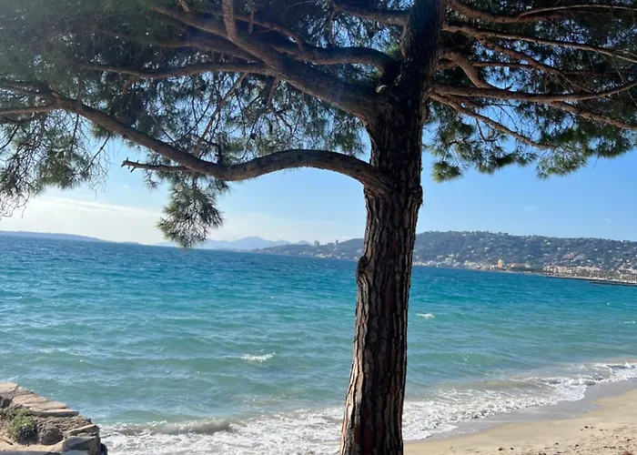 Le Jardin Secret By Golden Riviera Terrasses&accès *