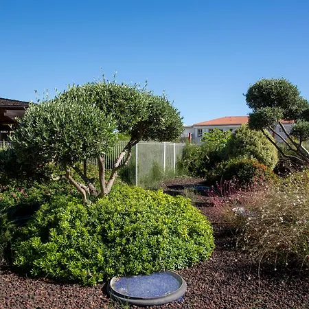 Le Jardin Secret By Golden Riviera Terrasses & Acces Antibes